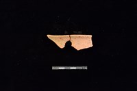 藏品(陶片)的圖片